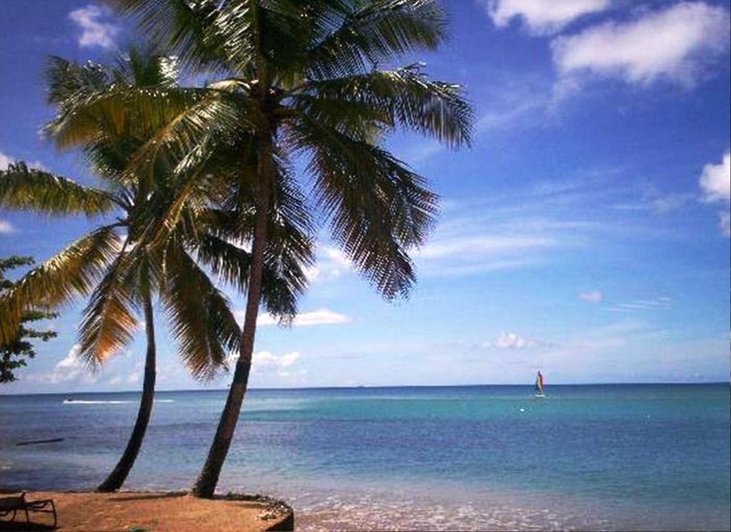 فندق East Winds St. Lucia جزيرة جورس المظهر الخارجي الصورة