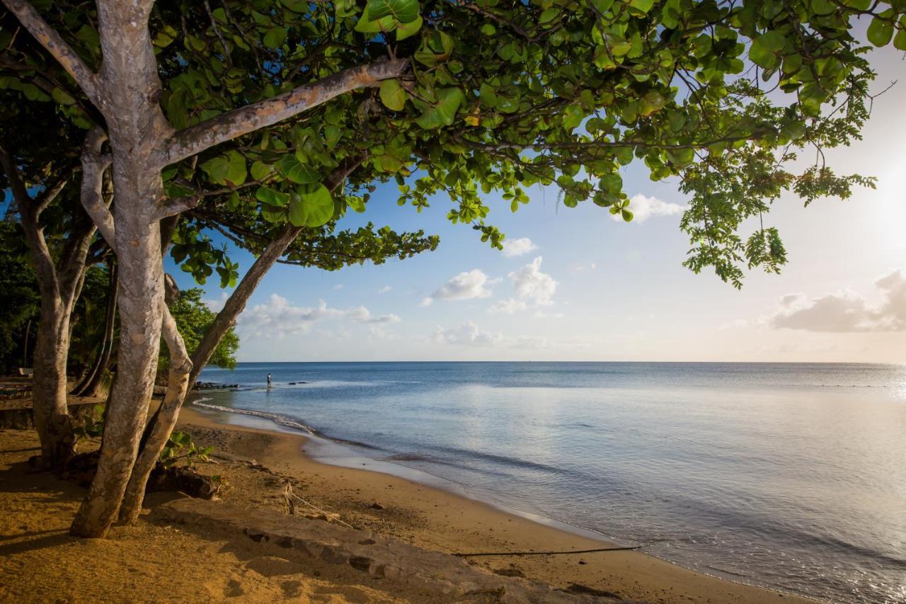 فندق East Winds St. Lucia جزيرة جورس المظهر الخارجي الصورة