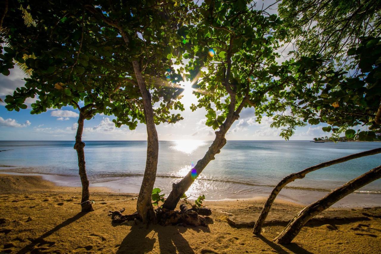 فندق East Winds St. Lucia جزيرة جورس المظهر الخارجي الصورة